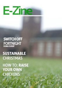 EZINE Christmas 2013