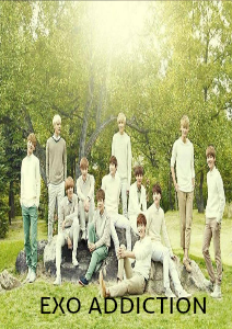 Exo Addiction Nature Republic