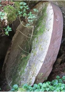 El copÃ­n El copÃ­n