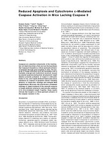 Reduced apoptosis and cytochrome-c-mediated caspase activation in mice lacking caspase9