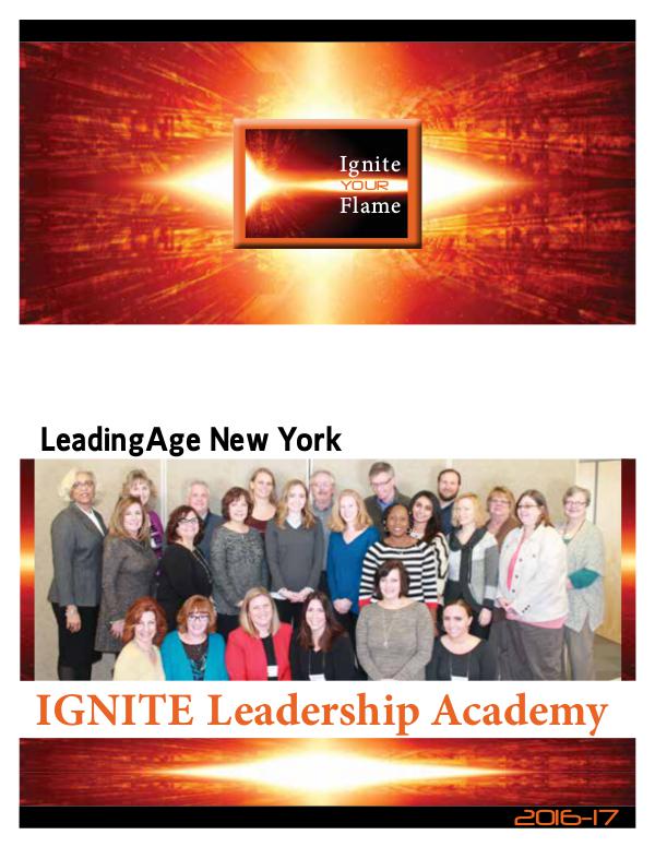 IGNITE Leadership Academy Action Learning Project 2016-17