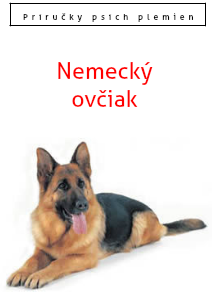 Nemecký ovčiak 11.01.2013