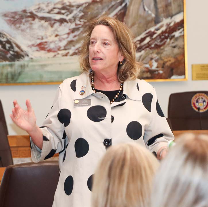 Senator Lisa Frizell