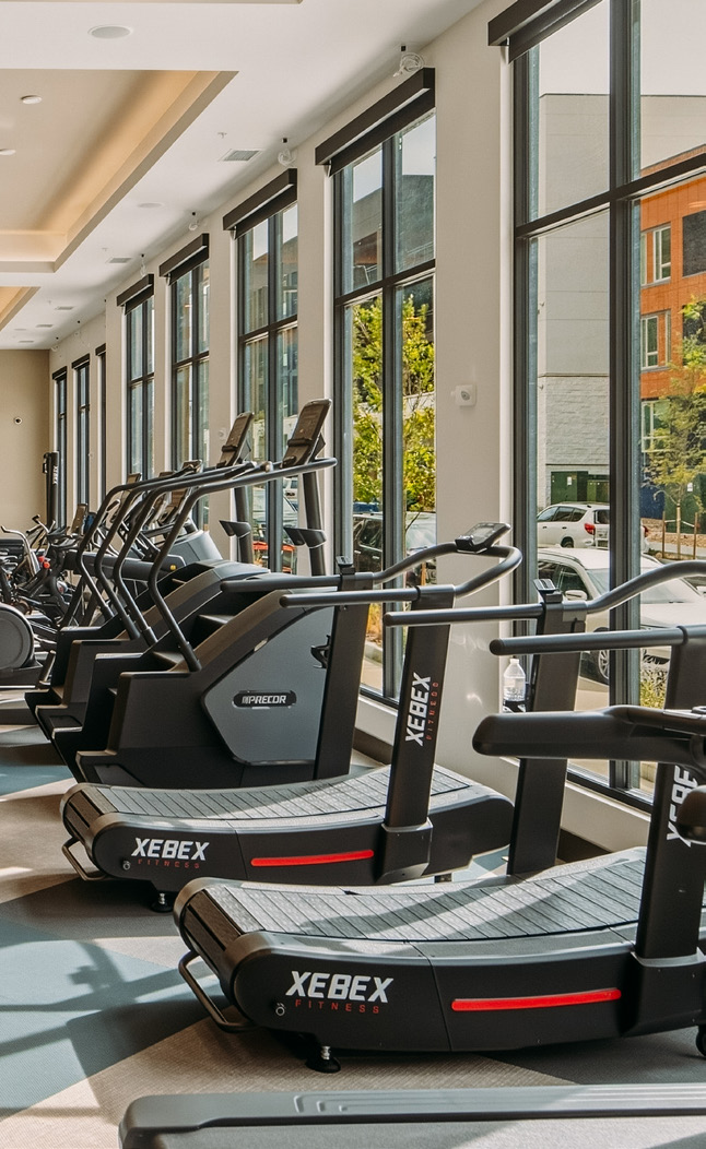 Fitness room with treadmills beside tall windows