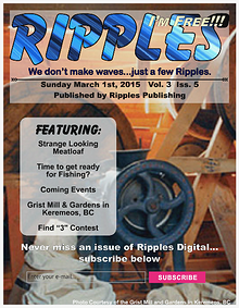 Ripples Digital