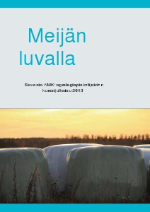 Meijän luvalla 2013