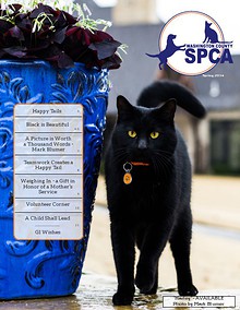 Washington County SPCA Newsletter