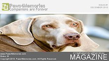 Paws4Memories Magazine