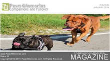 Paws4Memories Magazine