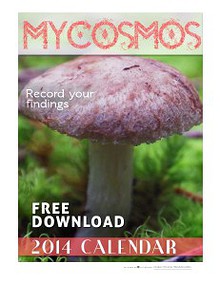 Mycosmos