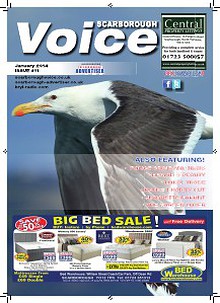 Scarborough Voice Issue #11